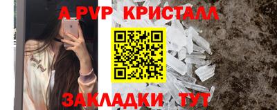 прущие крисы Гай