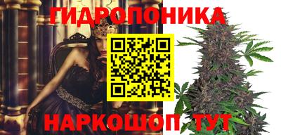 прущие крисы Гай